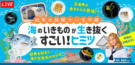 幼魚水族館から生中継